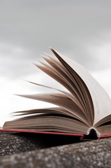 Open red book