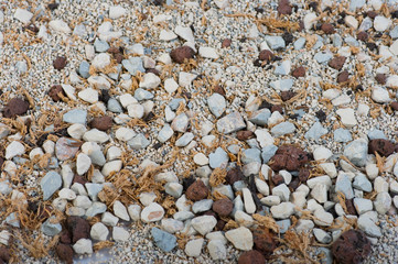 Background of the stones