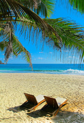 Leaves Overhanging Closeup