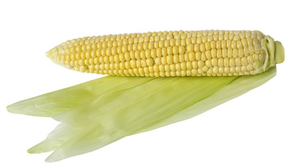 maize
