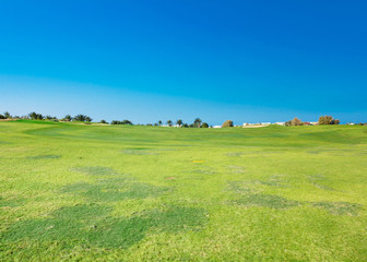 Grass Fields Of Green