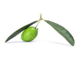 olive