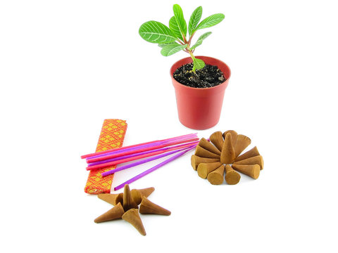 Incense aroma sticks and cones with tree in miniature isolated o