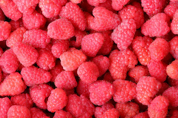 close-up raspberry background