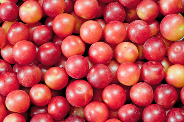 Layer of plums