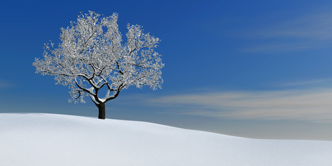 winterbaum 1