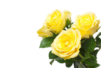 Beautiful bouquet of yellow roses