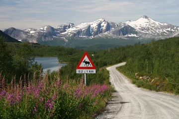 Photo sur Plexiglas Orignal Schotterpist in Nornskandinavien