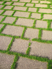 l'herbe entre les dalles