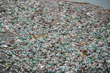 Plastic bottle pollution