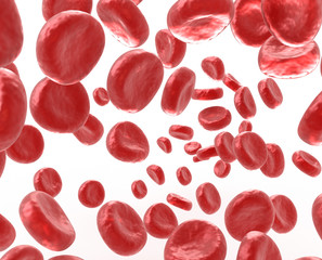 Blood cells on white background