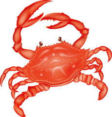 vector crab