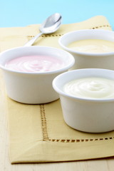 delicious fresh yogurt