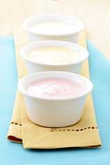 delicious fresh yogurt