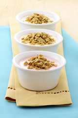 delicious and healthy granola