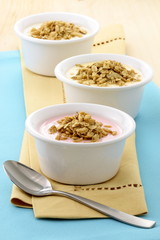 delicious and healthy granola