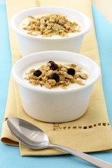 delicious and healthy granola