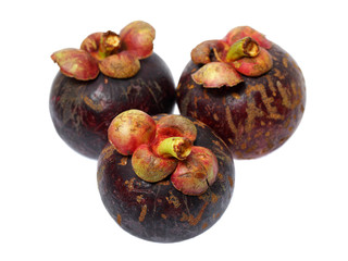 Mangosteen