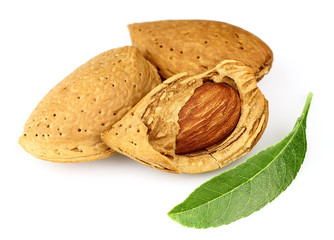 Dried almonds with leaves