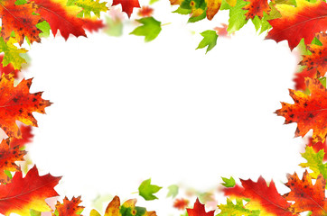 Naklejka na ściany i meble autumn leaves background with free space for text