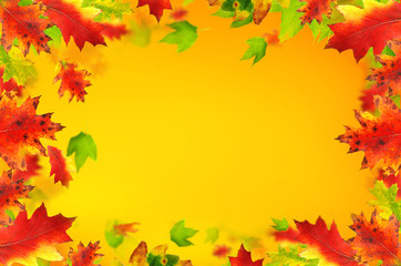 Autumn background with free space for text