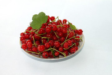 currant
