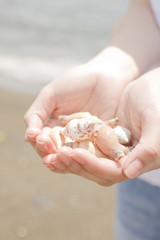 Fototapeta na wymiar 砂浜で貝殻を手に持つ女性