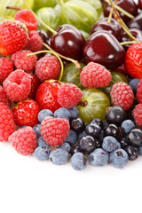 different kinds of berries