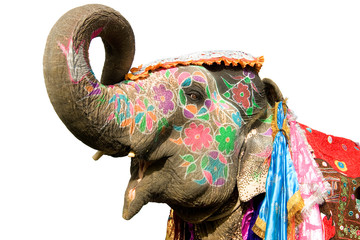 Kleurrijke handgeschilderde olifant, Holi-festival, Jaipur, Rajasthan, India