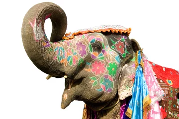 Stickers pour porte Inde Éléphant peint à la main coloré , Holi festival , Jaipur, Rajasthan, Inde