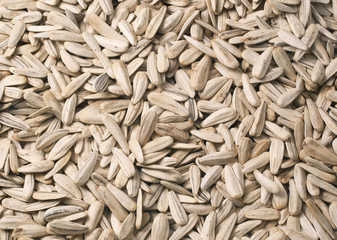 sunflower seeds