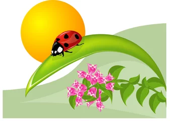 Poster Lieveheersbeestje en bougainvillea © patrylamantia