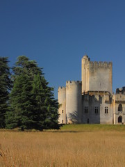 Château de Roquetaillade ; Gironde ; Landes ; Aquitaine