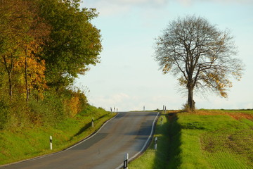 Fototapeta premium Weg
