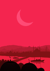 Turkish city Istanbul landscape vector