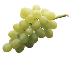 grape