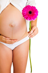 Pregnant woman holding gerbera flower isolated on white