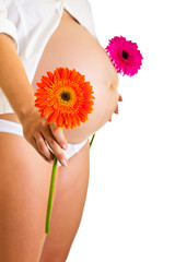 Pregnant woman holding gerbera flower isolated on white