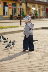 Boy and pigeons