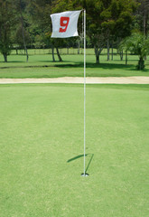 Obraz premium Flag golf