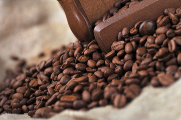 Manual coffee grinder