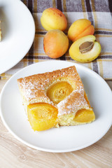 Apricot sponge slice