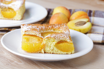 Apricot sponge slice
