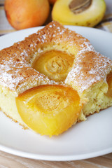 Apricot sponge slice