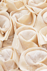 homemade meat dumplings