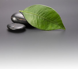 black stones  and leaf