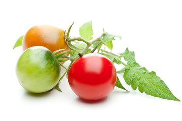 Drei Tomaten mit unterschiedlichen Reifegraden