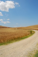 Fototapeta na wymiar Crete Senesi - pola pszenicy z drogi
