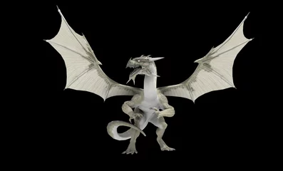 Papier Peint photo autocollant Dragons Dragon blanc
