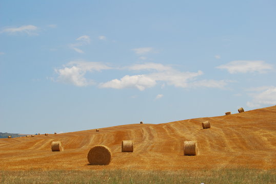 crete senesi - rotoballe
